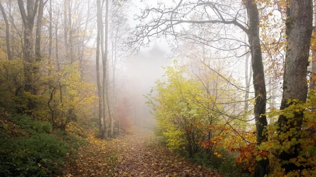 9 Must-Visit Parks and Trails in Sandy Cove