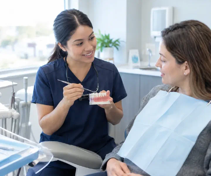 A hygienist explaining below-gum cleaning with a periodontal teaching model