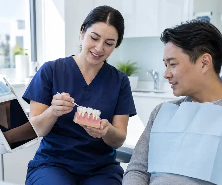 A dentist reviewing a periodontal model and assessment findings with a patient