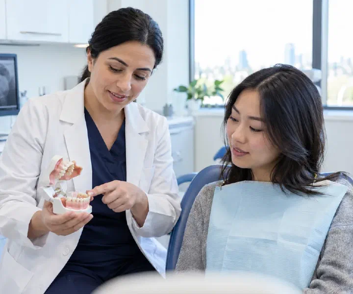 A dentist explaining an impacted back tooth on a jaw model to a young adult