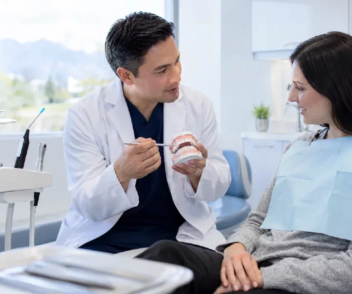 Dentist discussing gum treatment with a patient using a tooth model in a bright clinic