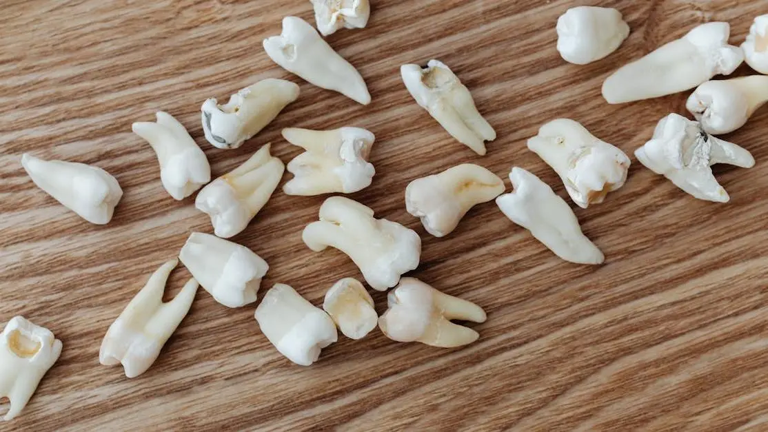 Close-up of dental implants next to natural teeth illustrating can dental implants get cavities