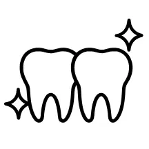 Two transparent teeth aligned side by side, representing clear aligner treatment